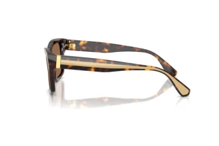 Vista laterale Dolce & Gabbana DG4559 (502/73)
