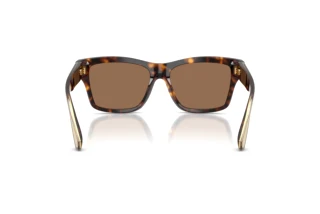 Vista posteriore Dolce & Gabbana DG4559 (502/73)