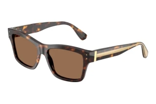 Vista frontale Dolce & Gabbana DG4559 (502/73)