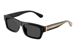 Vista frontale Dolce & Gabbana DG4560 (501/87)