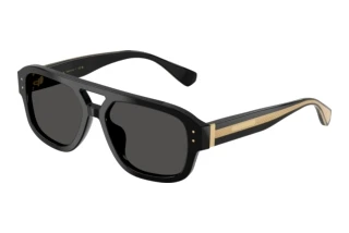 Vista frontale Dolce & Gabbana DG4561 (501/87)