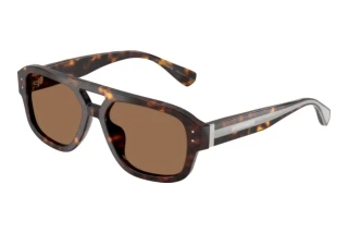 Vista frontale Dolce & Gabbana DG4561 (502/73)