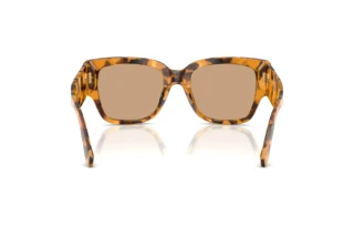 Vista posteriore Dolce & Gabbana DG4563 (349663)