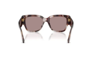 Vista posteriore Dolce & Gabbana DG4563 (3498LA)