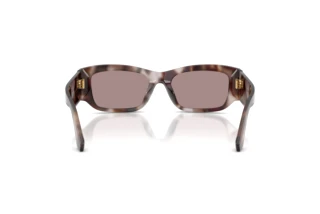 Vista posteriore Dolce & Gabbana DG4564 (3498LA)