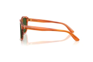 Vista laterale Dolce & Gabbana DG4566 (34839A)