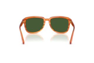 Vista posteriore Dolce & Gabbana DG4566 (34839A)