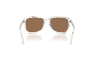 Vista posteriore Dolce & Gabbana DG4566 (349573)