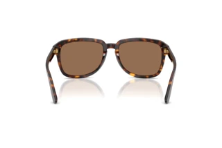Vista posteriore Dolce & Gabbana DG4566 (502/73)