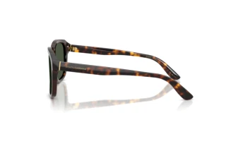 Vista laterale Dolce & Gabbana DG4566 (502/9A)