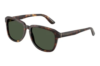 Vista frontale Dolce & Gabbana DG4566 (502/9A)