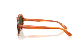Vista laterale Dolce & Gabbana DG4567 (348371)