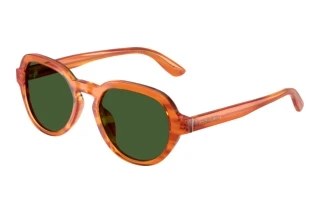 Vista frontale Dolce & Gabbana DG4567 (348371)