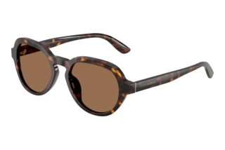 Vista frontale Dolce & Gabbana DG4567 (502/73)