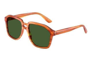 Vista frontale Dolce & Gabbana DG4568 (34839A)