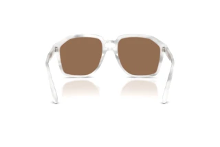 Vista posteriore Dolce & Gabbana DG4568 (349573)