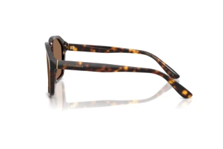 Vista laterale Dolce & Gabbana DG4568 (502/73)
