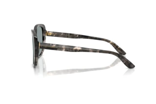 Vista laterale Dolce & Gabbana DG4569 (3172/1)