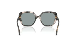 Vista posteriore Dolce & Gabbana DG4569 (3172/1)