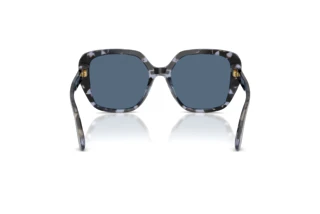 Vista posteriore Dolce & Gabbana DG4569 (344380)