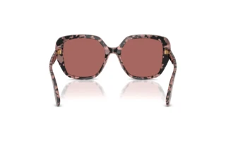 Vista posteriore Dolce & Gabbana DG4569 (347669)