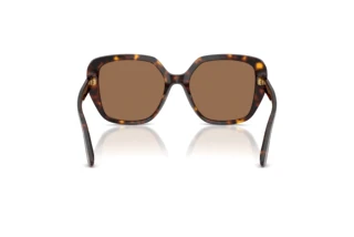 Vista posteriore Dolce & Gabbana DG4569 (502/73)