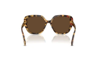 Vista posteriore Dolce & Gabbana DG4569 (512/73)