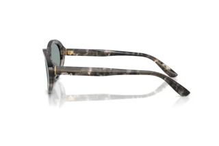 Vista laterale Dolce & Gabbana DG4570 (3172/1)
