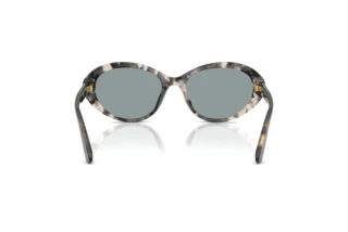 Vista posteriore Dolce & Gabbana DG4570 (3172/1)