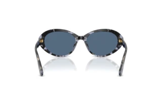 Vista posteriore Dolce & Gabbana DG4570 (344380)