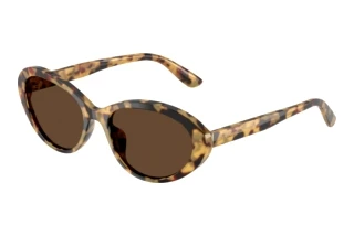 Vista frontale Dolce & Gabbana DG4570 (512/73)