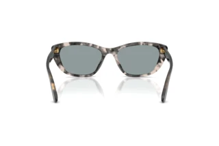 Vista posteriore Dolce & Gabbana DG4571 (3172/1)