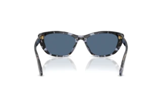 Vista posteriore Dolce & Gabbana DG4571 (344380)