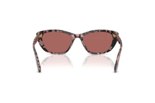Vista posteriore Dolce & Gabbana DG4571 (347669)