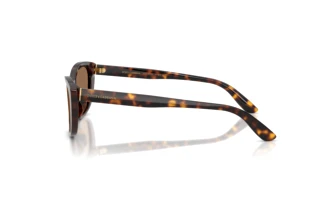 Vista laterale Dolce & Gabbana DG4571 (502/73)