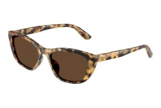 Vista frontale Dolce & Gabbana DG4571 (512/73)