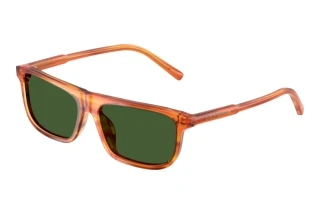 Vista frontale Dolce & Gabbana DX4009 (348371)