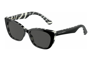 Dolce & Gabbana DX4427 337287 Dark GreyBlack On Zebra