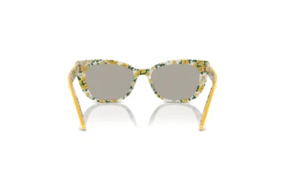 Vista posteriore Dolce & Gabbana DX4427 (34437J)