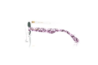 Vista laterale Dolce & Gabbana DX4427 (34595R)
