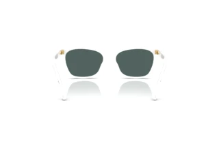 Vista posteriore Dolce & Gabbana DX4427 (34595R)