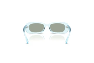 Vista posteriore Dolce & Gabbana DX6006U (33466J)