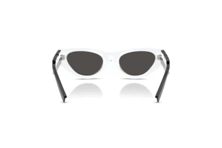 Vista posteriore Dolce & Gabbana DX6012 (345787)