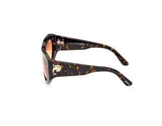 Vista laterale Emilio Pucci EP0241 (52F)