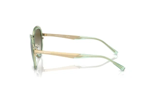 Vista laterale Emporio Armani EA2146 (33638E)