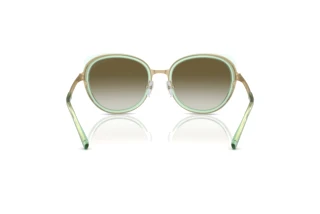 Vista posteriore Emporio Armani EA2146 (33638E)