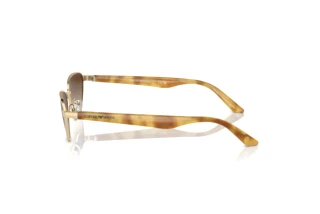 Vista laterale Emporio Armani EA2153 (301313)