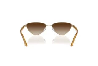 Vista posteriore Emporio Armani EA2153 (301313)