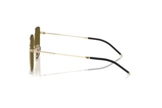 Vista laterale Emporio Armani EA2159D (301373)