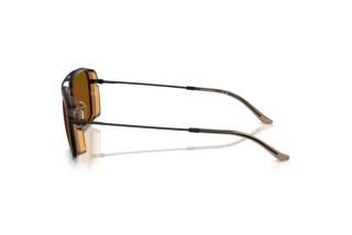 Vista laterale Emporio Armani EA2162 (300163)